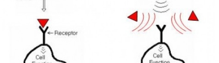 Digitalna Homeopatija = Homeopatija energetskih informacij