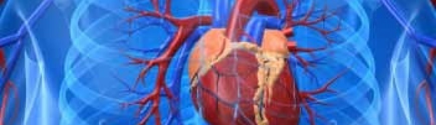 SRCE - je res samo motor